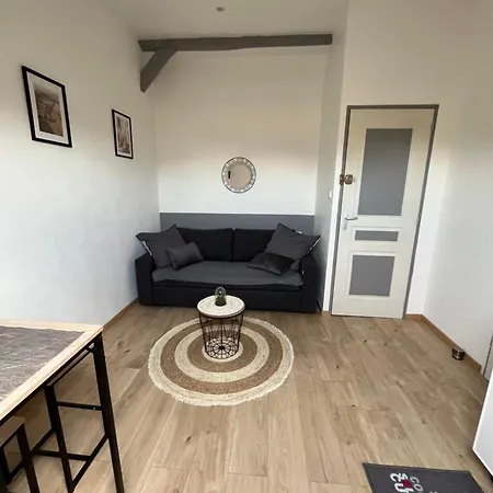 Au Bouquet Troyen - Wifi - Calme Et Tranquillite Apartment Troyes Exterior photo