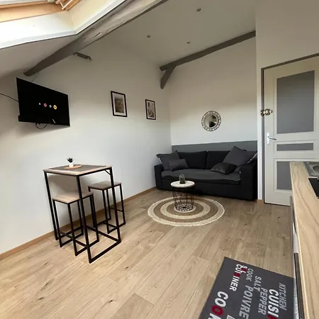 Au Bouquet Troyen - Wifi - Calme Et Tranquillite Apartment Troyes Exterior photo