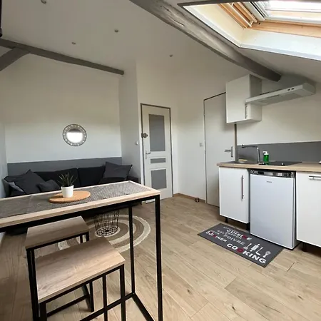 Au Bouquet Troyen - Wifi - Calme Et Tranquillite Apartment Troyes Exterior photo