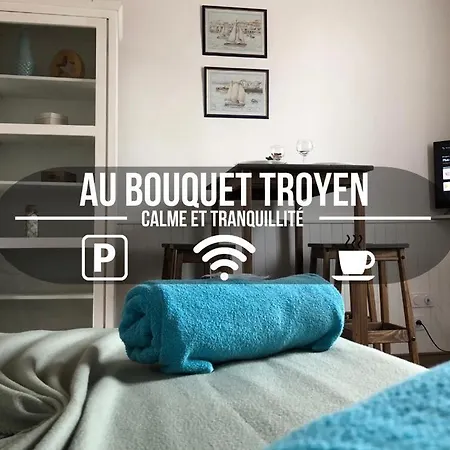 Au Bouquet Troyen - Wifi - Calme Et Tranquillite Apartment Troyes Exterior photo
